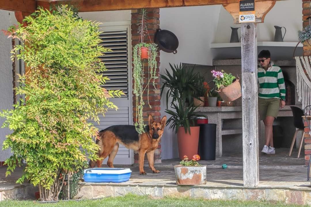 Villa Dos Corceis Esposende Bagian luar foto